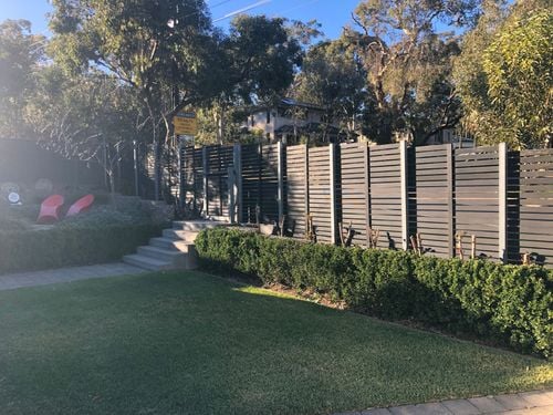 IMG_8111.jpeg IMG_8111.jpeg