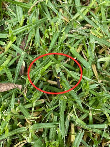 D92D8548-B626-40CD-8969-9D0E733F6ACD.jpeg D92D8548-B626-40CD-8969-9D0E733F6ACD.jpeg