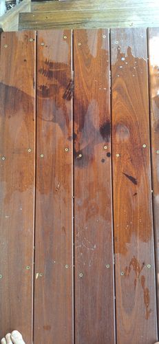 1000015674.jpg 1000015674.jpg