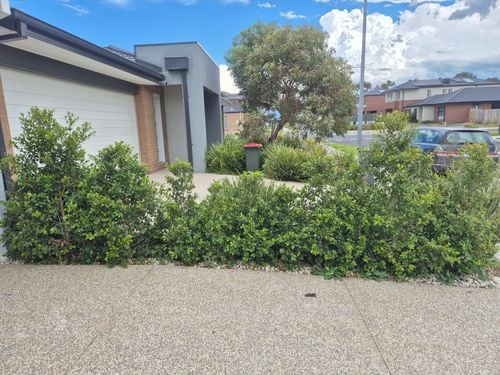 1000041568.jpg 1000041568.jpg