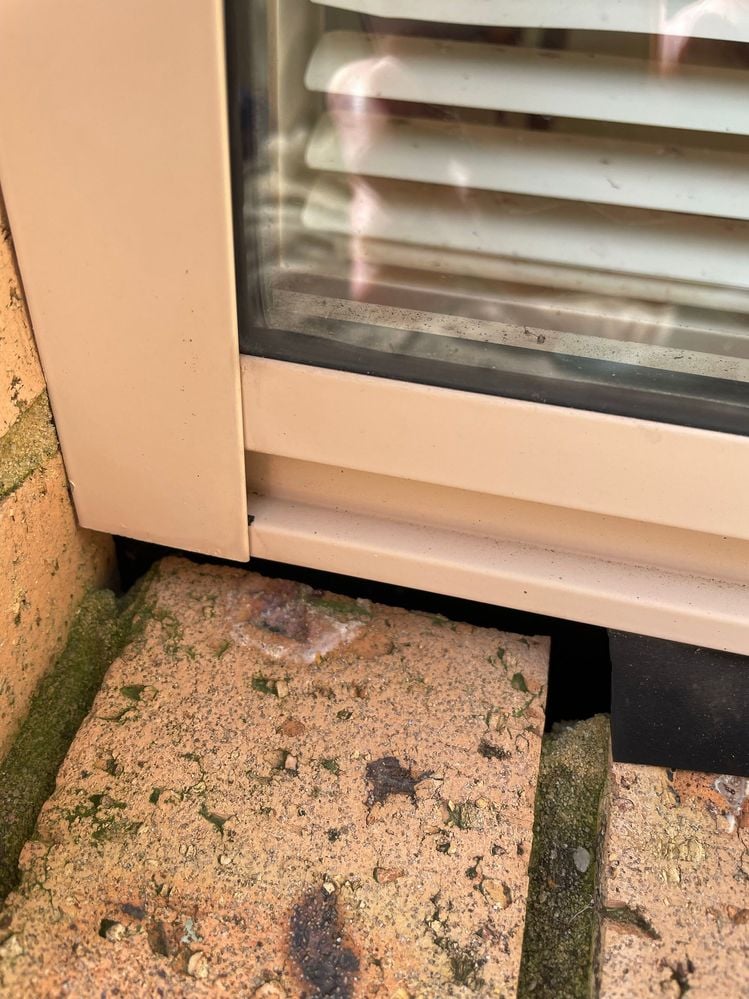 flahsing2.jpg flahsing2.jpg