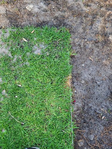 20221006_182554.jpg 20221006_182554.jpg