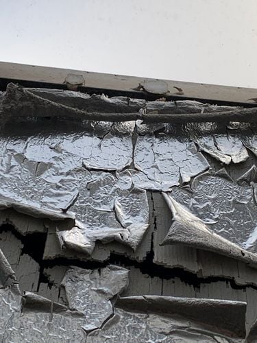 IMG_7057.jpeg IMG_7057.jpeg