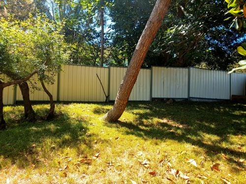 20241229_145334.jpg 20241229_145334.jpg