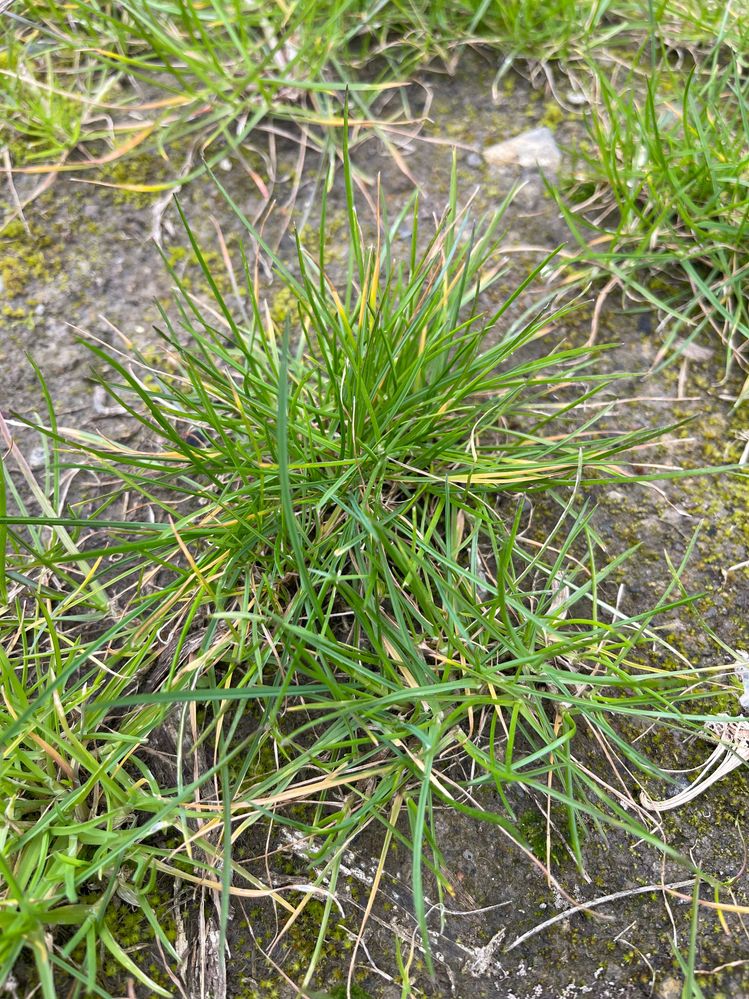 IMG_3372.jpg IMG_3372.jpg