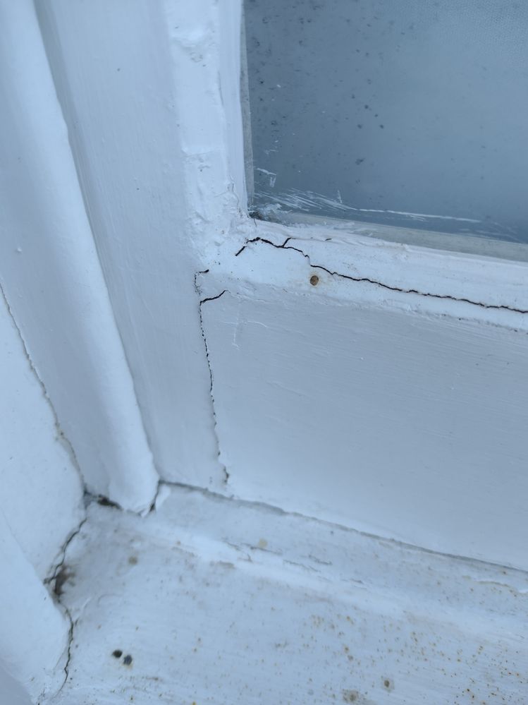 IMG_20231201_080940676.jpg IMG_20231201_080940676.jpg