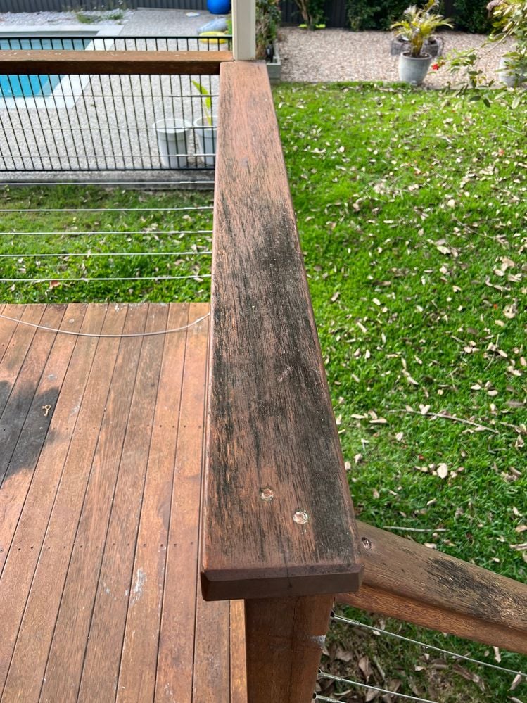 IMG_1469.jpg IMG_1469.jpg