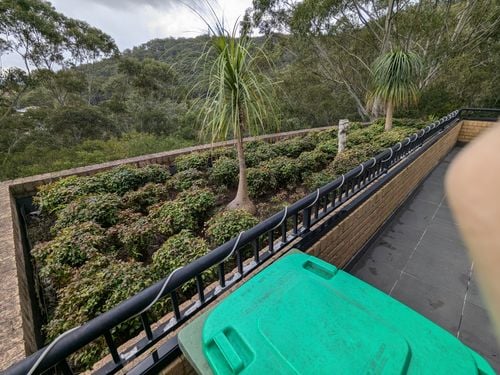 1000015710.jpg 1000015710.jpg