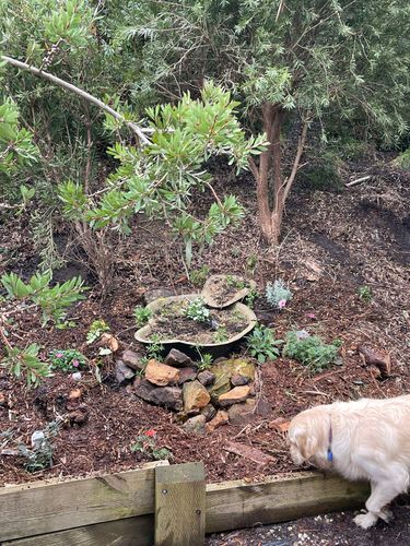 E2296CD3-5655-4051-94D1-368C2B44DC42.jpeg E2296CD3-5655-4051-94D1-368C2B44DC42.jpeg