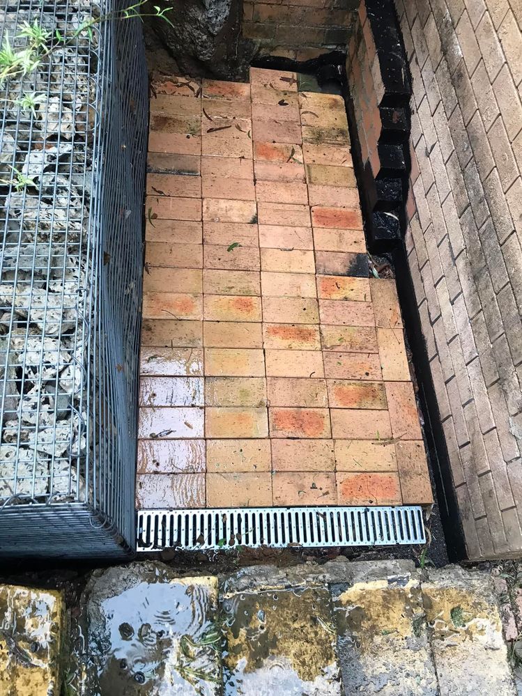 37 07-03-2022.jpg 37 07-03-2022.jpg