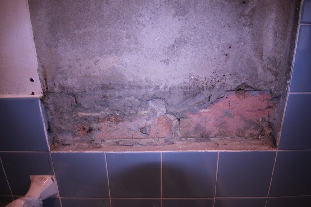 IMG_5427 2.JPG IMG_5427 2.JPG