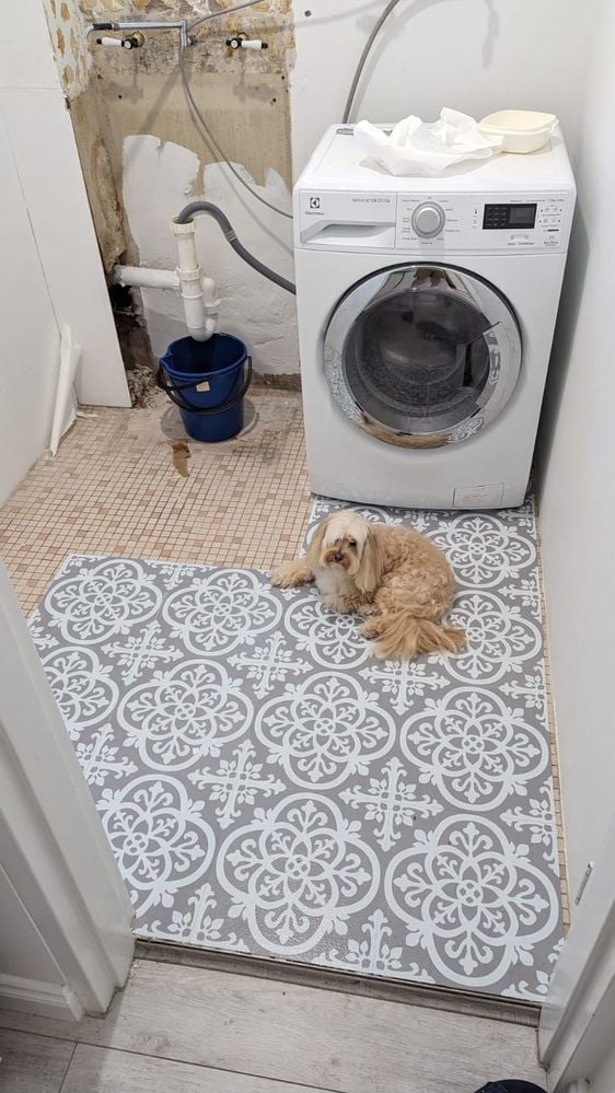 WhatsApp Image 2024-06-27 at 5.35.21 PM.jpeg WhatsApp Image 2024-06-27 at 5.35.21 PM.jpeg