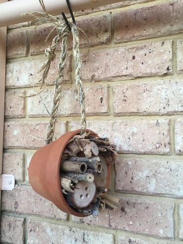 A98377F5-C2C6-4605-BD4B-500539653410.jpeg A98377F5-C2C6-4605-BD4B-500539653410.jpeg