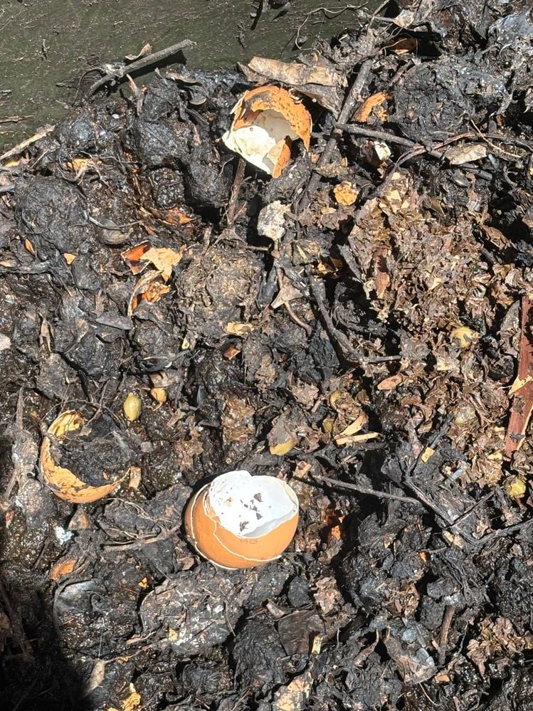 IMG_5486.jpg IMG_5486.jpg