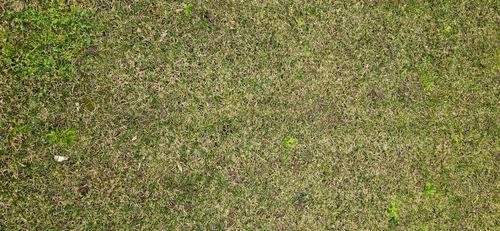 1000324405.jpg 1000324405.jpg