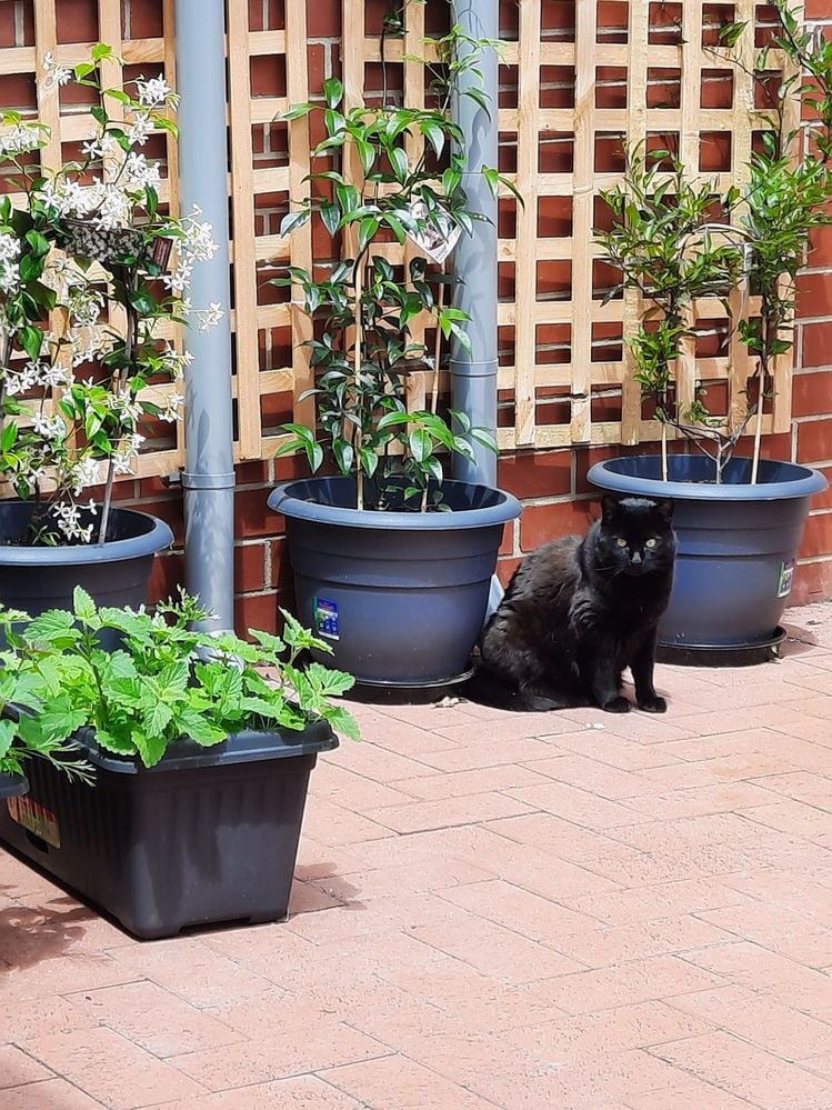 08391F2E-BA09-4540-B784-29CE7AB3384B.jpeg 08391F2E-BA09-4540-B784-29CE7AB3384B.jpeg