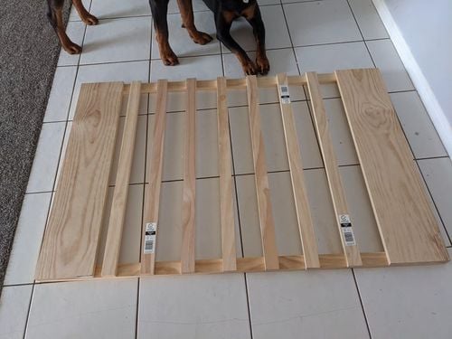 270837151_896973490961101_3719387609898987476_n.jpg 270837151_896973490961101_3719387609898987476_n.jpg