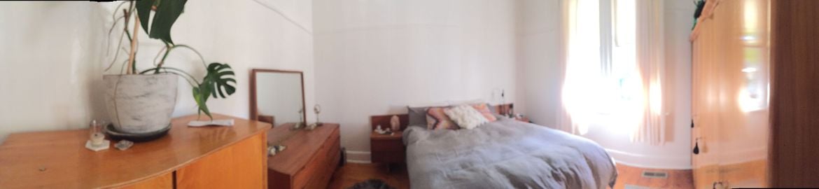 IMG_1667.JPG IMG_1667.JPG