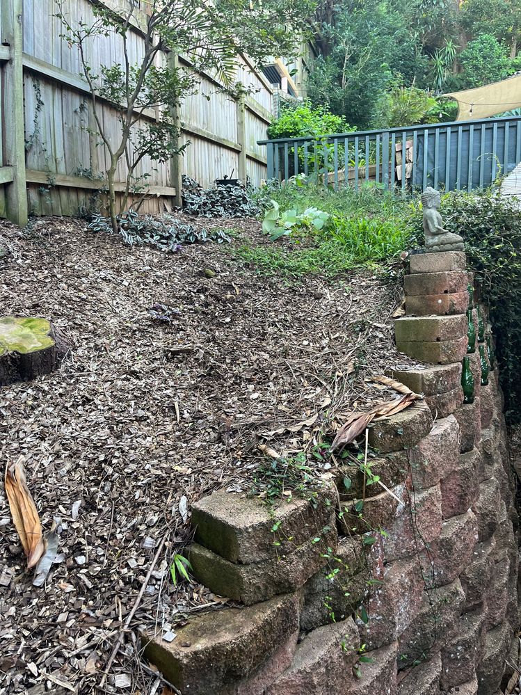 IMG_4656.jpg IMG_4656.jpg