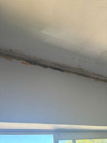 IMG_0587.jpeg IMG_0587.jpeg