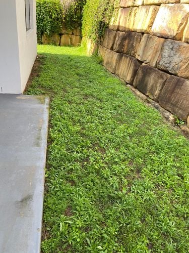 6032B224-091B-46FE-A8FF-35CBA258A7FF.jpeg 6032B224-091B-46FE-A8FF-35CBA258A7FF.jpeg