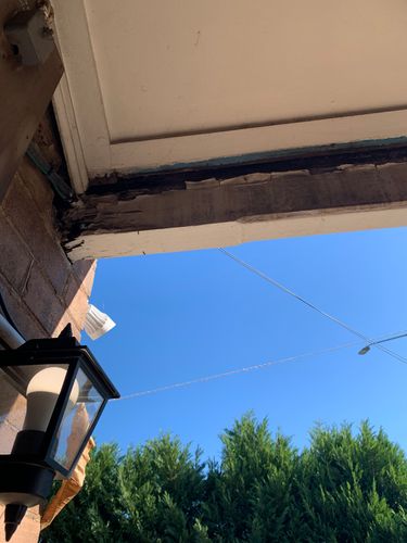 IMG_5734.jpeg IMG_5734.jpeg