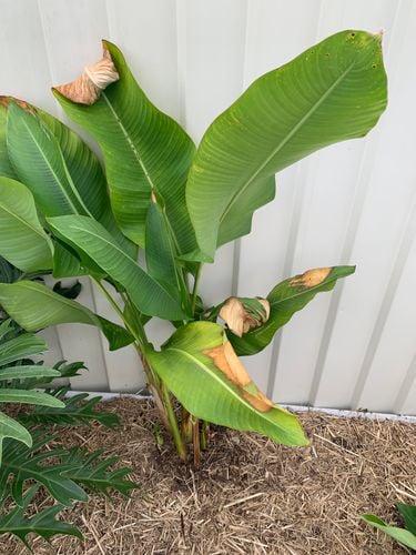 IMG_1957.jpg IMG_1957.jpg