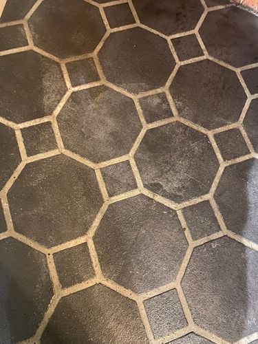 IMG_5355.jpeg IMG_5355.jpeg