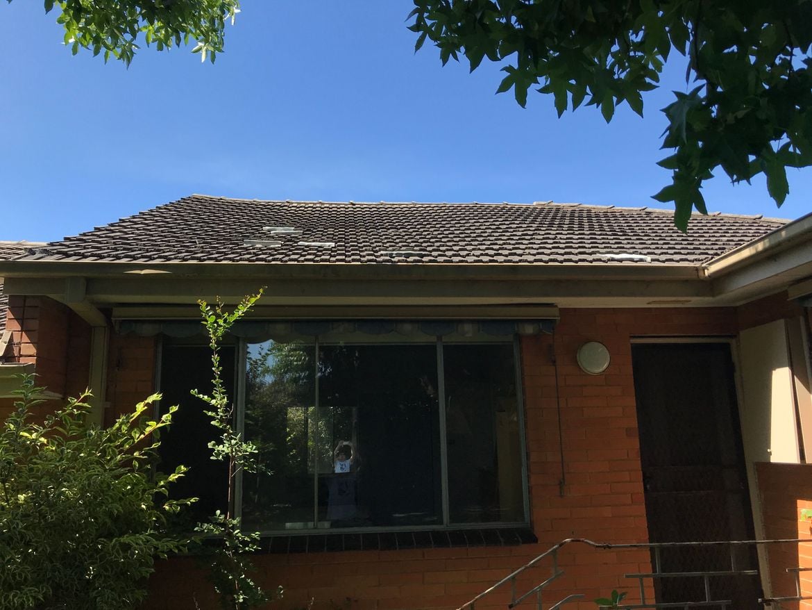 IMG_3365.JPG IMG_3365.JPG