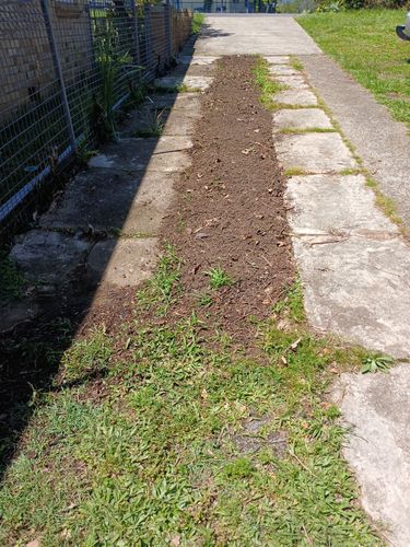 1000004925.jpg 1000004925.jpg