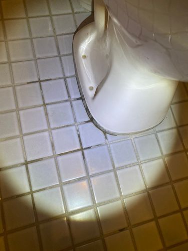 IMG_8978.jpeg IMG_8978.jpeg