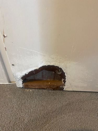 IMG_1791.jpeg IMG_1791.jpeg