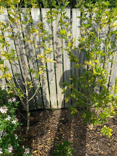 5EA41A08-8891-481D-A310-0E759549A84F.jpeg 5EA41A08-8891-481D-A310-0E759549A84F.jpeg