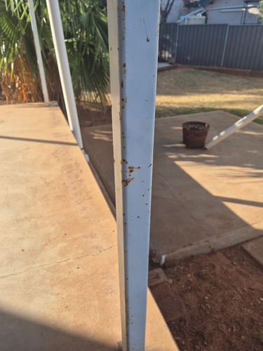 1000011877.jpg 1000011877.jpg