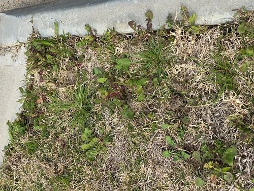 5A9E8012-B94A-4B60-842F-35C43C7EE70D.jpeg 5A9E8012-B94A-4B60-842F-35C43C7EE70D.jpeg