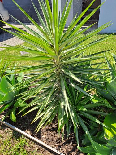 1000014043.jpg 1000014043.jpg