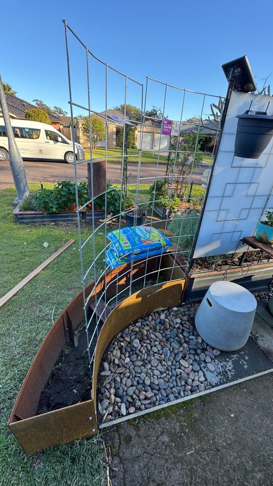 IMG_9742.jpg IMG_9742.jpg