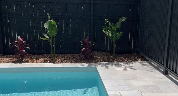 heliconias_1.jpg heliconias_1.jpg