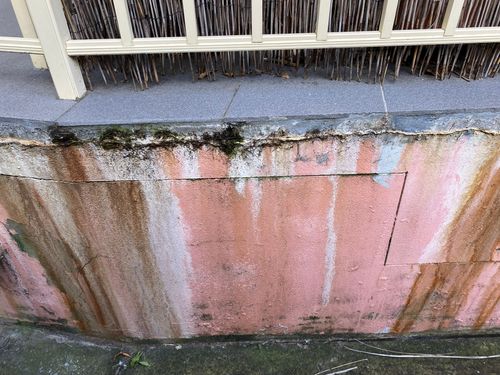 IMG_1977.jpeg IMG_1977.jpeg