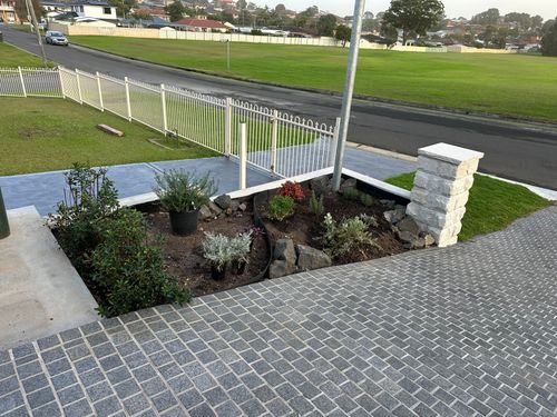 IMG_0726.jpeg IMG_0726.jpeg