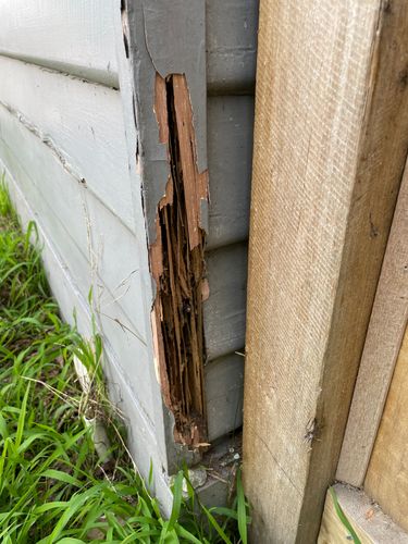 IMG_6847 copy.jpg IMG_6847 copy.jpg