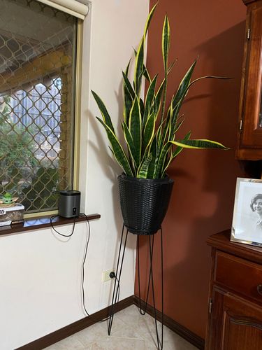 59F086A5-DFBB-41BB-A37A-54597806D48F.jpeg 59F086A5-DFBB-41BB-A37A-54597806D48F.jpeg