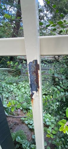 IMG_3556.jpeg IMG_3556.jpeg