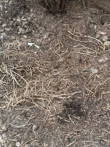 IMG_4327.jpeg IMG_4327.jpeg