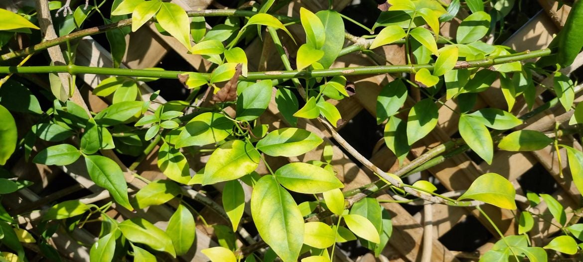 20241206_093145.jpg 20241206_093145.jpg