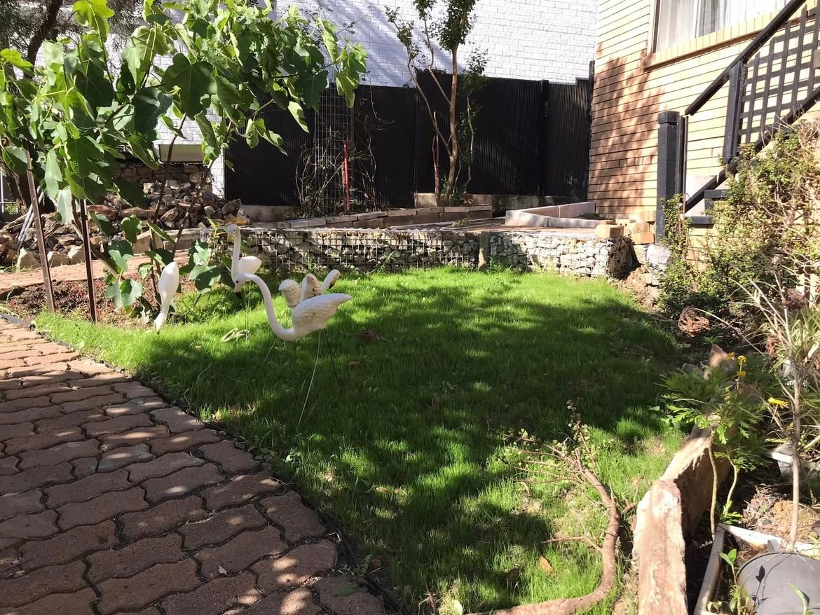 63 29-10-2022.jpg 63 29-10-2022.jpg