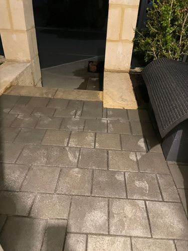 IMG_8764.jpeg IMG_8764.jpeg