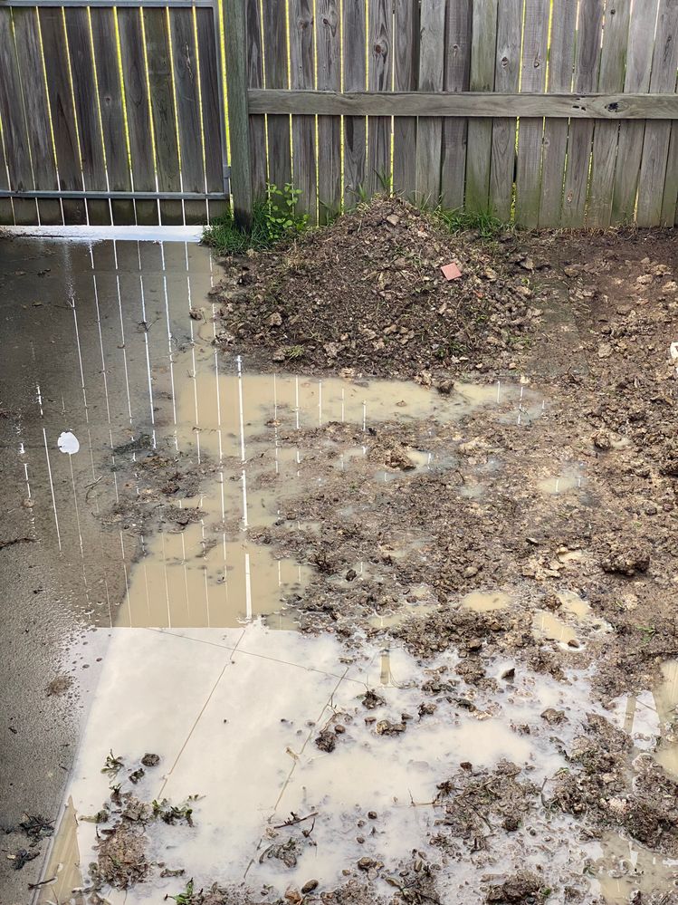 8D7F3702-1B20-4A3A-96BD-40E7C8518262.jpeg 8D7F3702-1B20-4A3A-96BD-40E7C8518262.jpeg