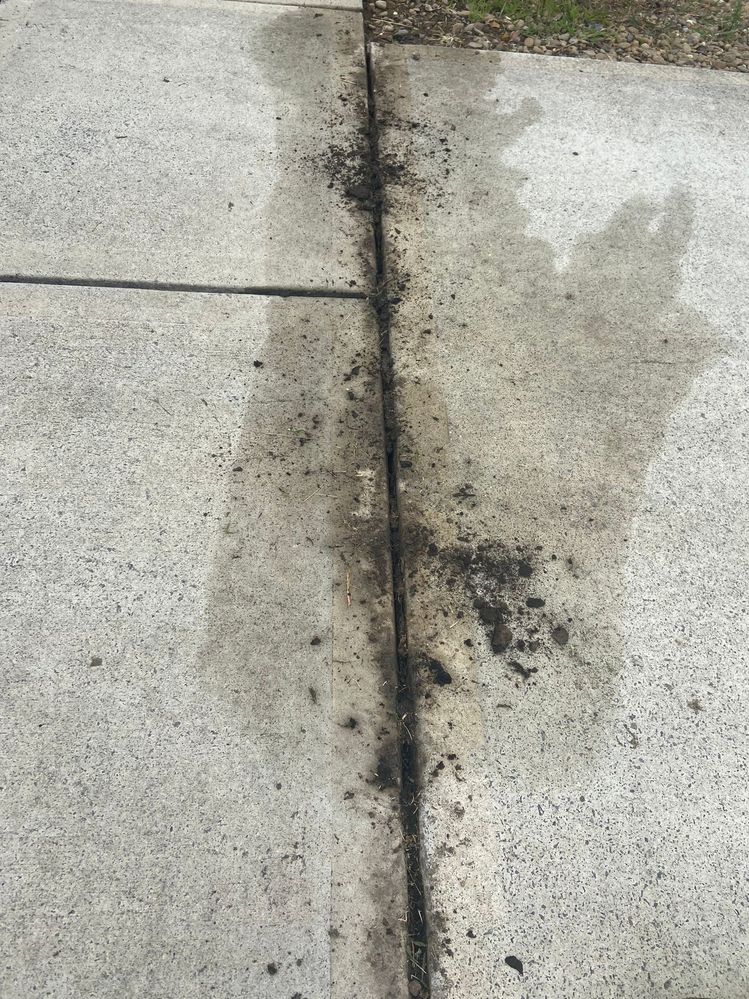 IMG_0669.JPEG IMG_0669.JPEG