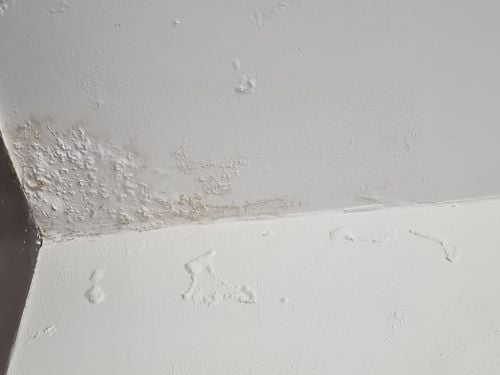 20210317_140731.jpg 20210317_140731.jpg